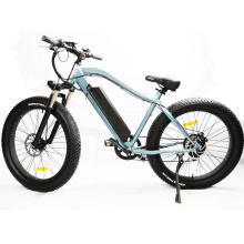 Cheap Price 48V Electric Bicycle 2019 Mountain Bikes for Adults